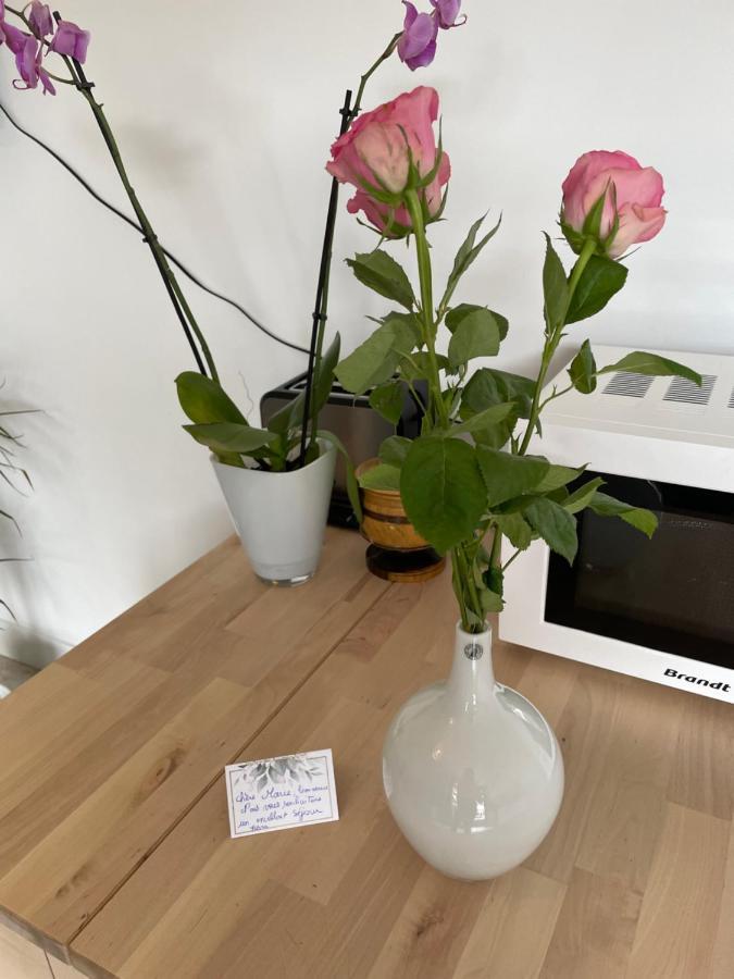 Tremblay-en-France Joli T2, Terrasse Et Jardin, Ideal Pour Familles, A 15 Min De L'Aeroport Roissy Cdg מראה חיצוני תמונה